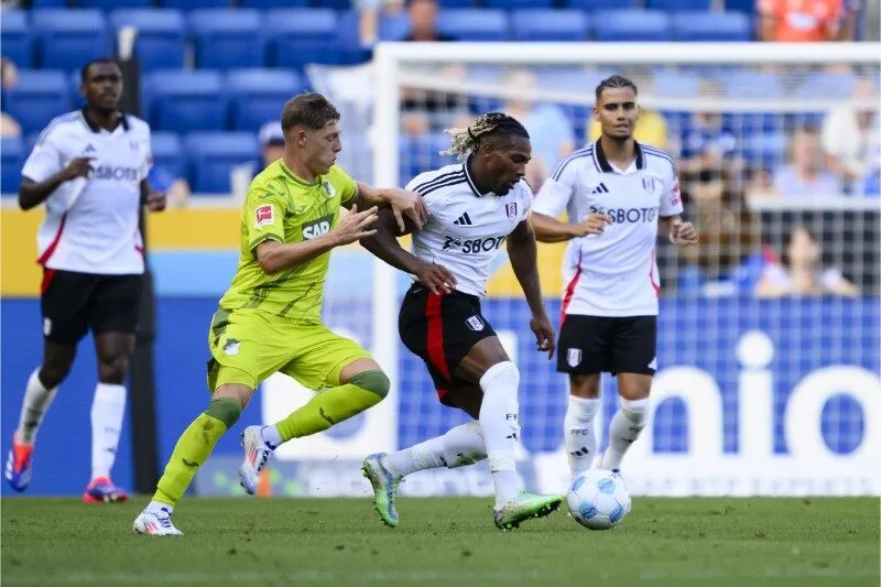 Phong độ thi đấu gần đây Fulham vs AFC Wimbledon
