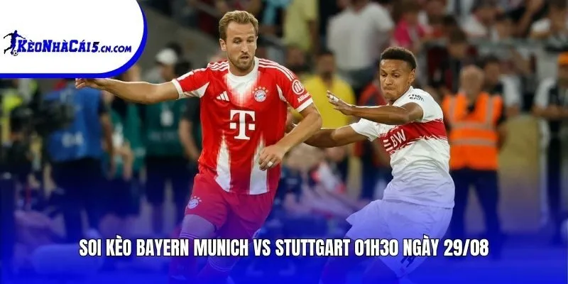 Soi kèo Bayern Munich vs Stuttgart | 01h30 ngày 29/08